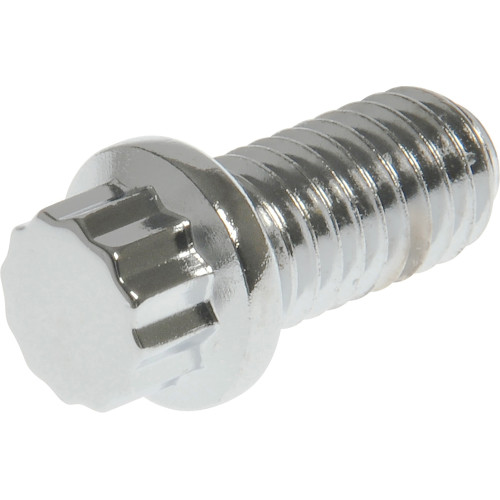 Chrome 12-Pt. Flange Screws (3/8