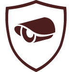 Illumivue IP Cameras