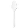 Dart, Style Setter Mediumweight Plastic Teaspoons, White