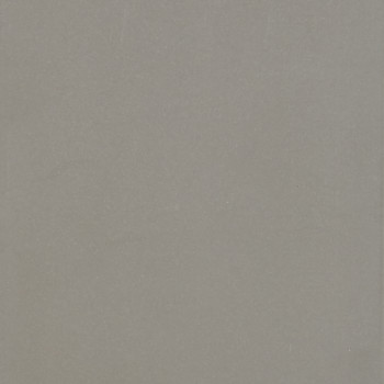 Light-gray textured sheet or wall sits flat and unadorned, filling the frame under even diffuse lighting, with subtle speckling and a faint vertical edge visible.