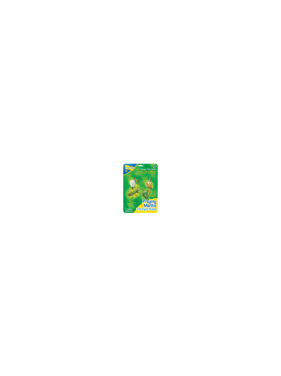 s--xpR94JwW--/a1bfb0wlruj0kh1fenos.jpg