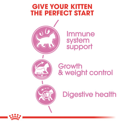 Kitten Spayed / Neutered Dry Cat Food