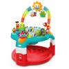 2-in-1 Silly Sunburst Activity Gym & Saucer™