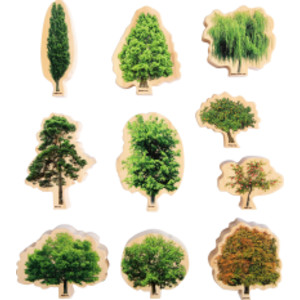 Seasons Wooden Trees