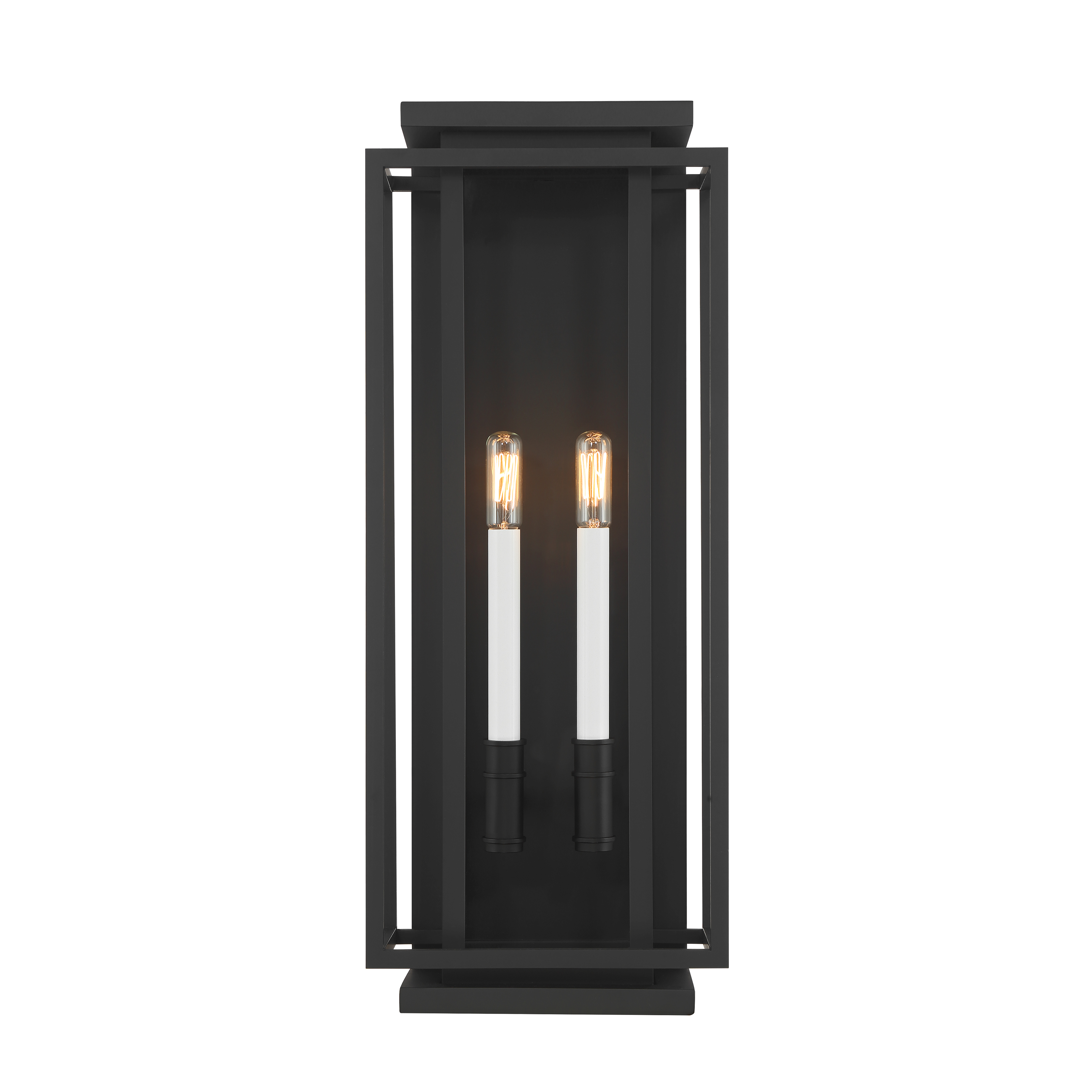 2-Light Outdoor Wall Sconce - Dark Matte Black and White with Clear glass - alternate view