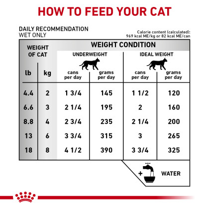 Renal Support T Thin Slices in Gravy Canned Cat Food