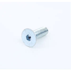 Screw M8X25 Tpsei Uni5933 Din7991 10.9 Z