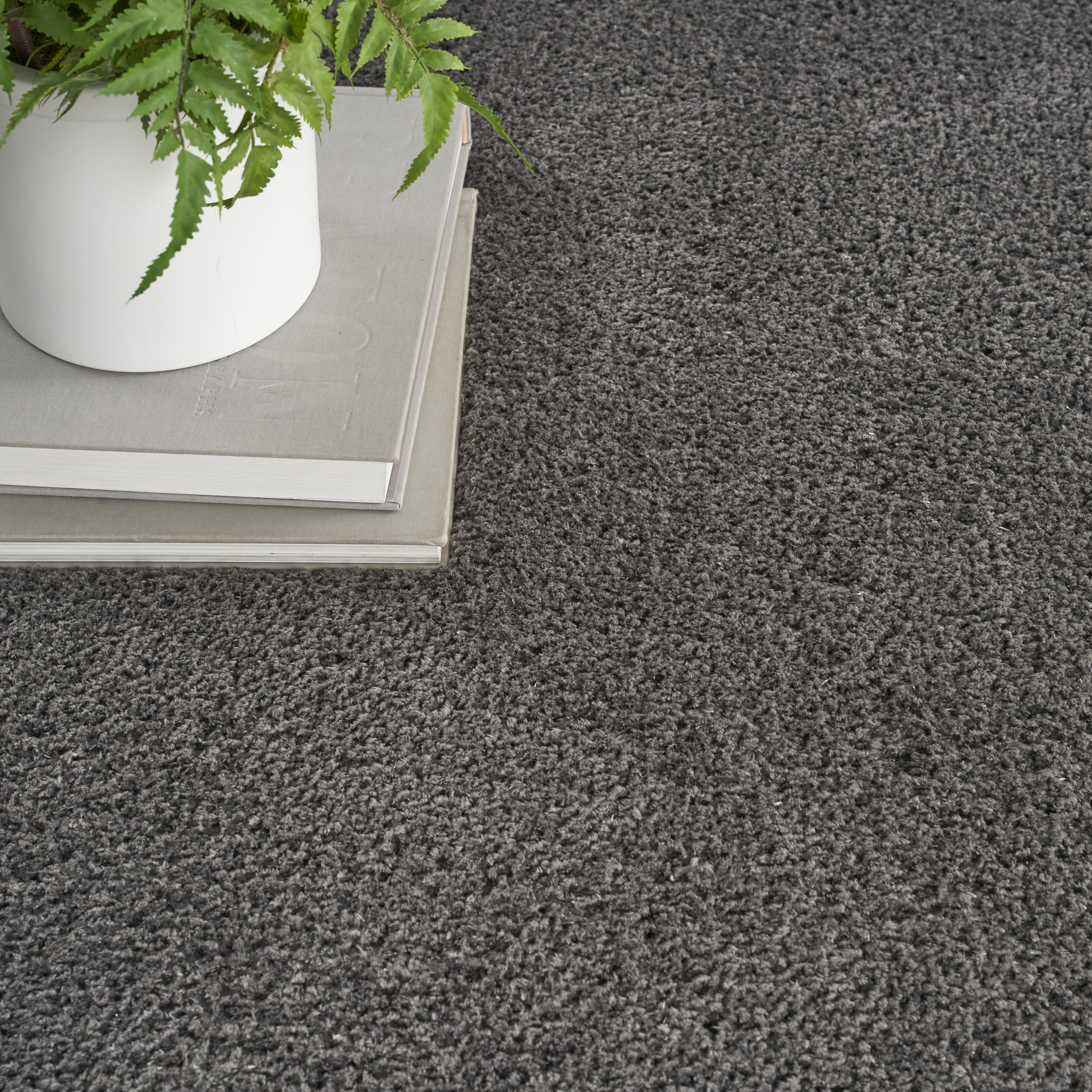 Nourison Dreamy Shag 4' x 6' Grey Shag Indoor Rug