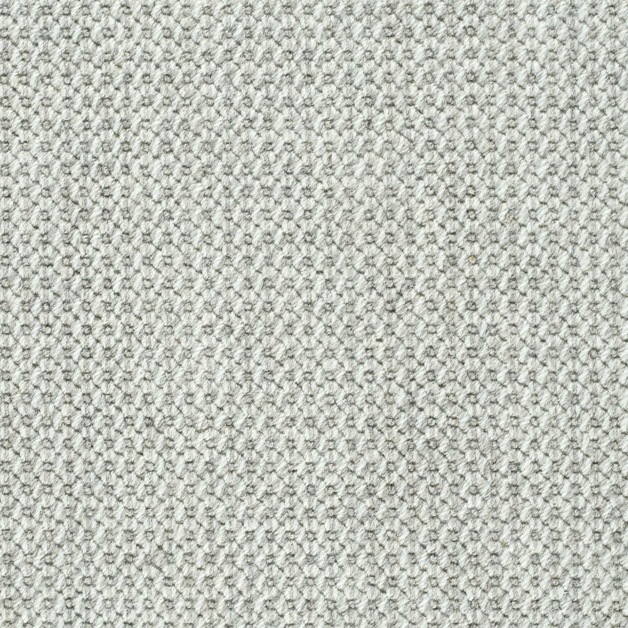 color-rug1