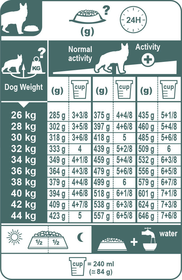 Сколько кормить щенка немецкой