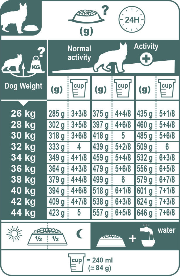 Сколько надо собаку. Норма корма для немецкой овчарки Роял Канин. Норма корма для щенка немецкой овчарки 2 месяца сухого корма. Таблица корма Роял Канин для щенков немецкой овчарки. Таблица нормы корма Роял Канин для щенков немецкой овчарке.