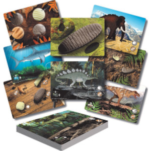 Prehistoric Teeth &ndash; Explore and Discover Activity Cards, Set of 16