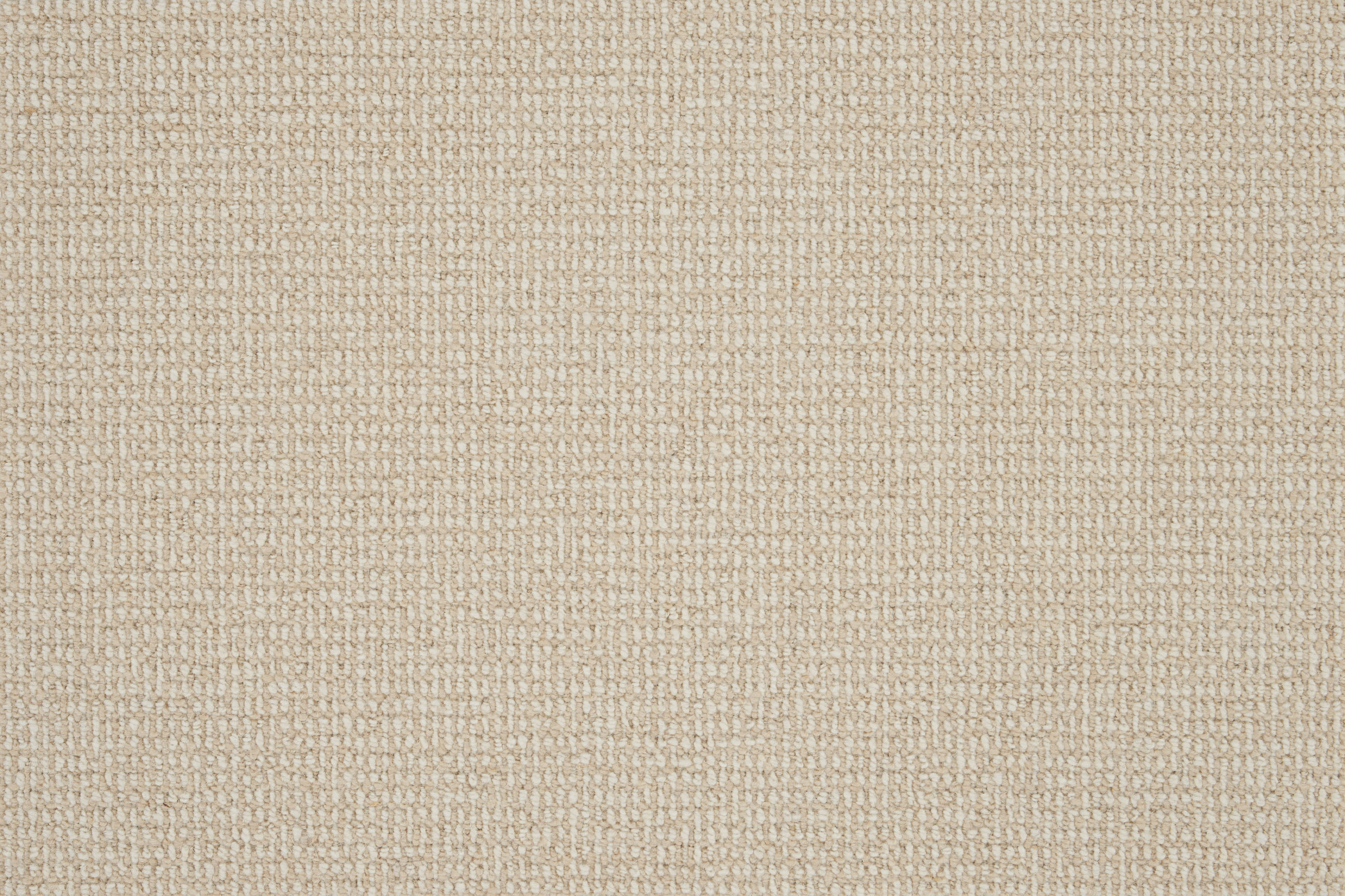color-rug1