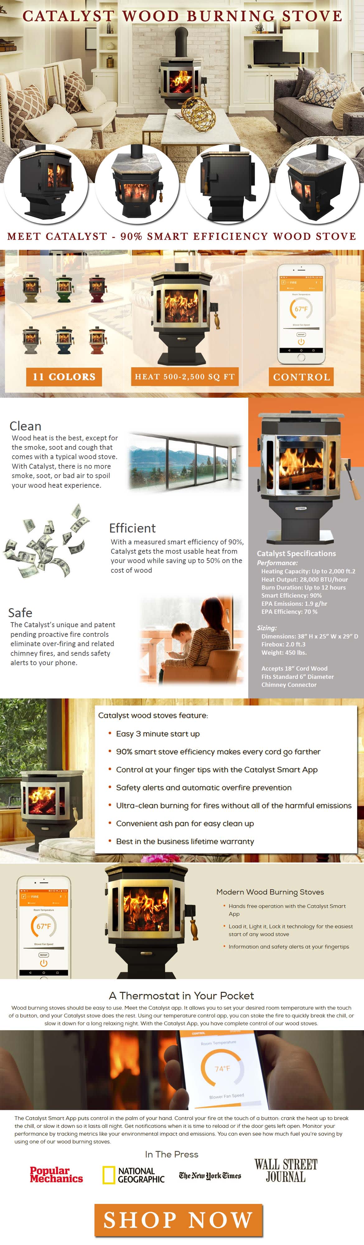 The Catalyst Wood Burning Stove