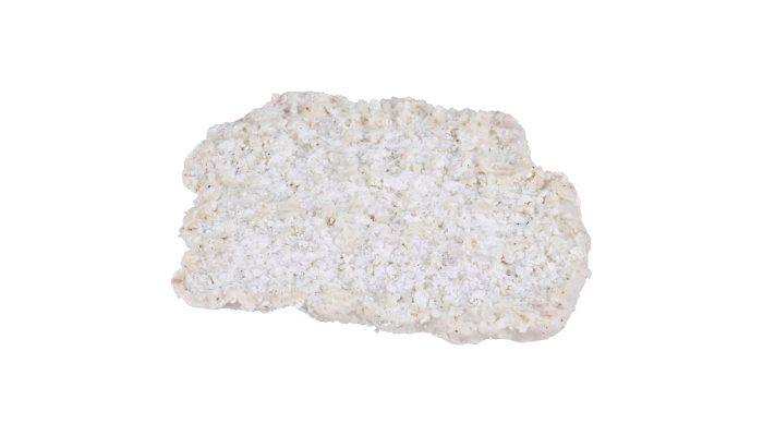 AdvancePierre™ Gold Label Exclusive Cut® Deluxe Whole Muscle Raw Breaded Pork Loin Fritters_image_2