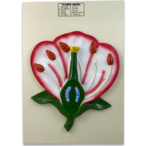 3-D Flower Model