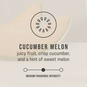 TEC402470, Rubbermaid Commercial, CirculAir 90, Air Freshener, Cucumber Melon