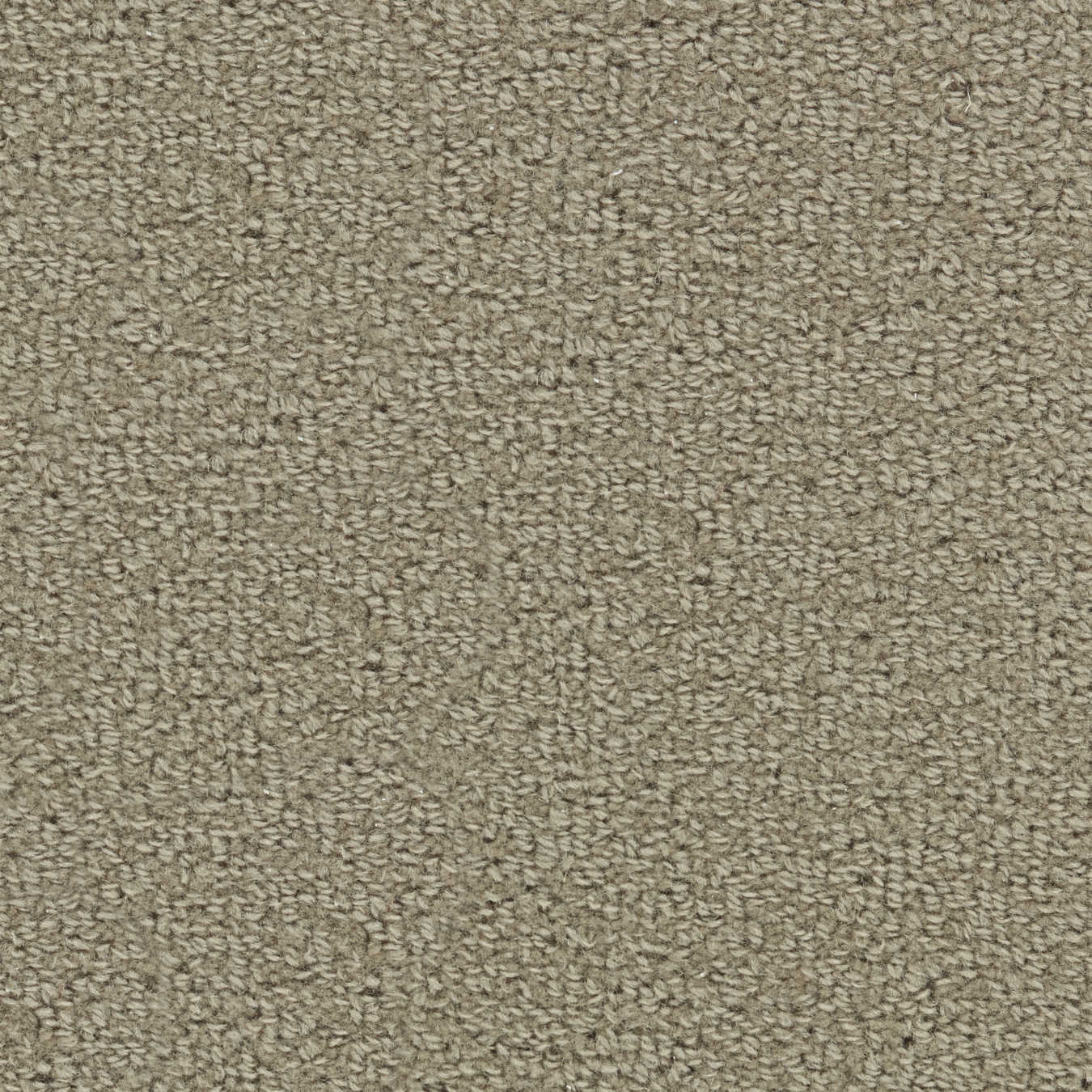 color-rug1