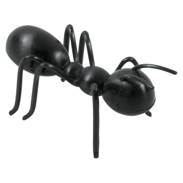 3D Ant Cupcake Layon