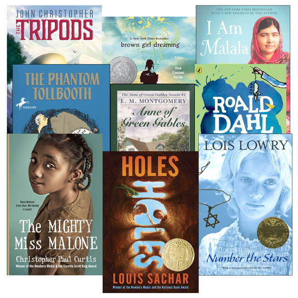 Lightning Literature Grade 5 Literature Only