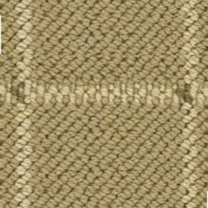 color-rug1