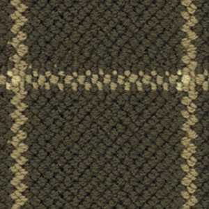 color-rug1