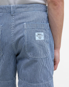 Shorts Tindale Striped 