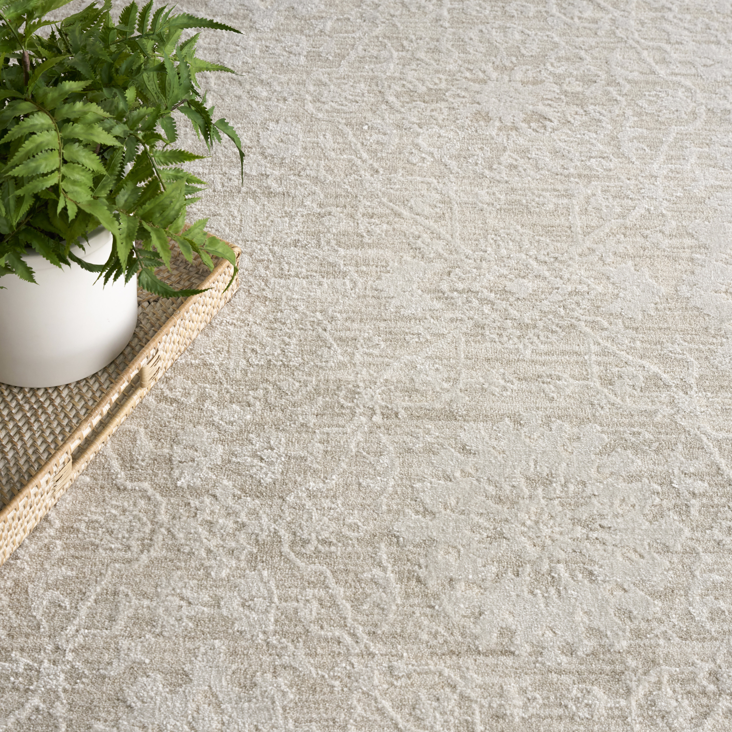 Nourison Envy 7'10" x 10'2" Cream Vintage Indoor Rug