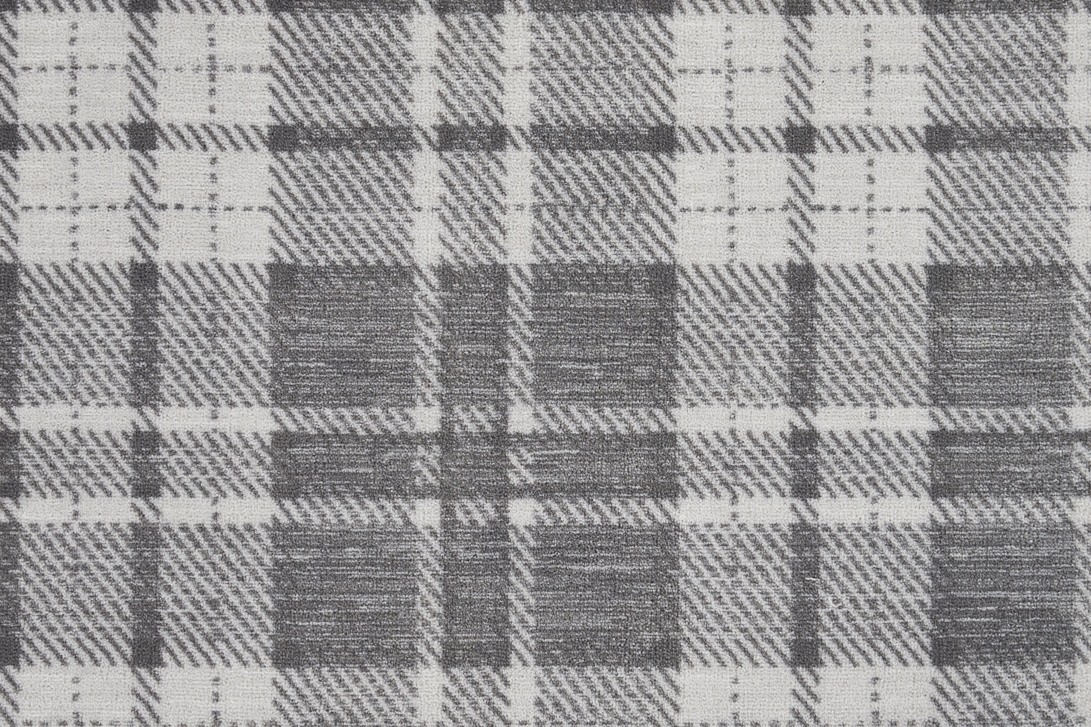 color-rug1