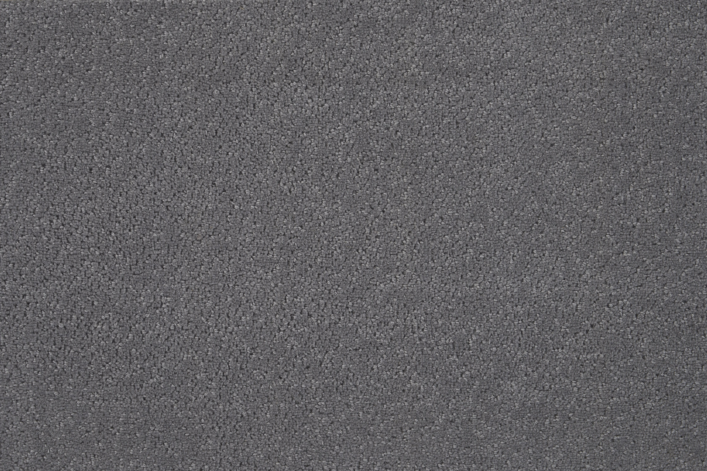 color-rug1
