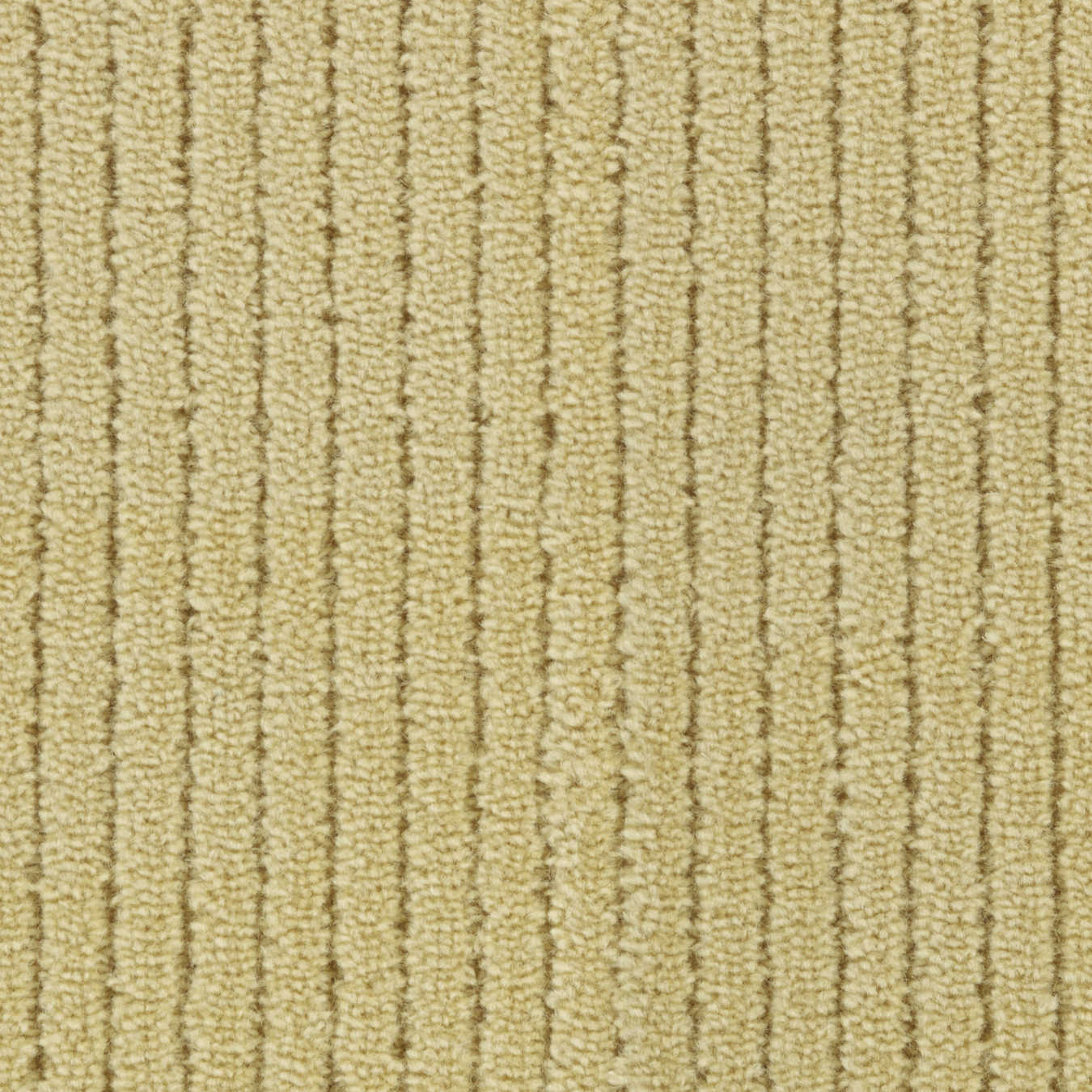 color-rug1