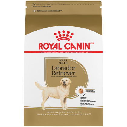 Labrador Retriever Adult Dry Dog Food