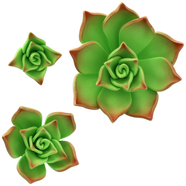 Green Succulents - Red 3 Free Gum Paste Flowers