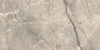 Lotus Silver 24×48 Field Tile Polished Rectified