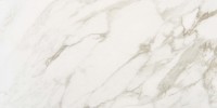 Marble Obsession Arabescato 12×24 Field Tile Matte Rectified