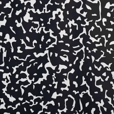 Fadeless Schoolgirl Style Bulletin Board Paper, Senior Year, 47.25" x 50', 1 Roll