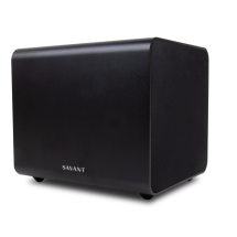 Savant Audio Systems