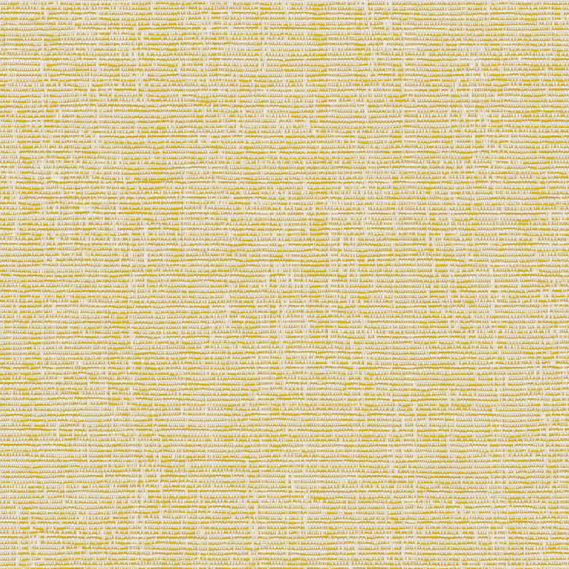 Reid Lemon Vertical blind