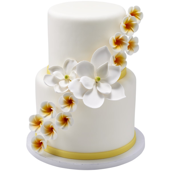 White Plumeria Gum Paste Flowers