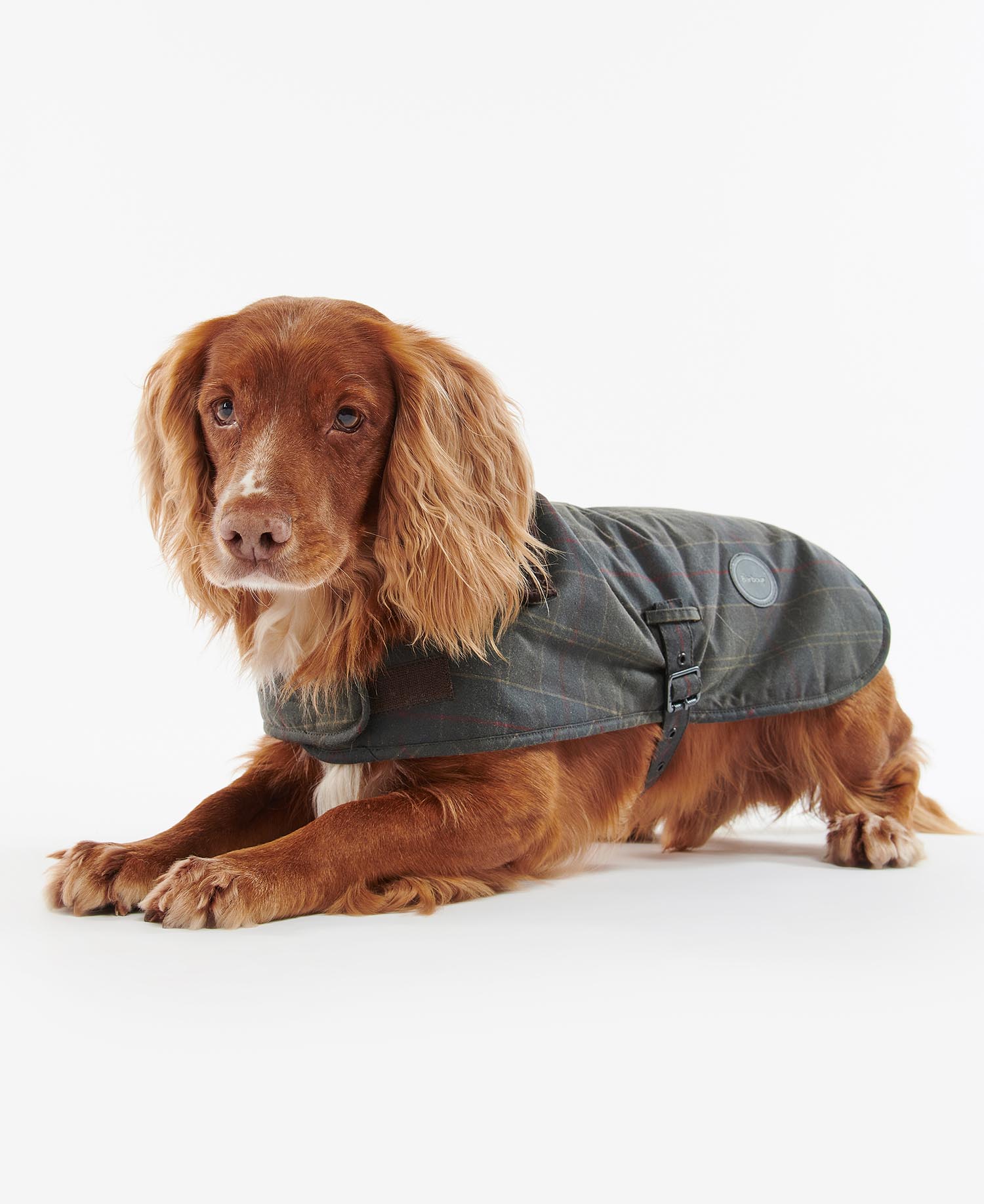 Hundemantel Tartan Wax image number 1