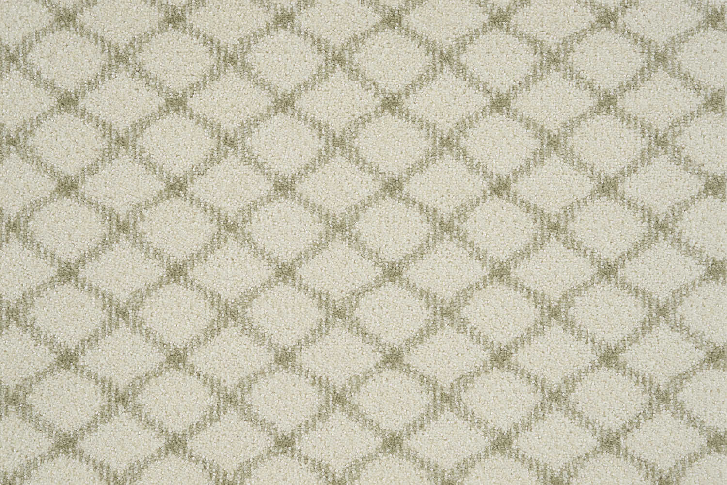 color-rug1
