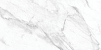 Amica Statuario 12×24 Field Tile Honed Rectified