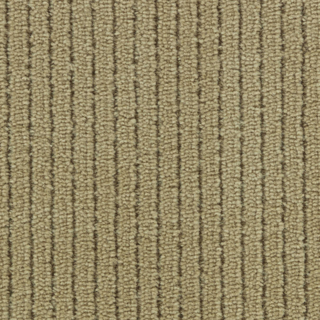 color-rug1
