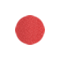 350 ROSE INCARNATION