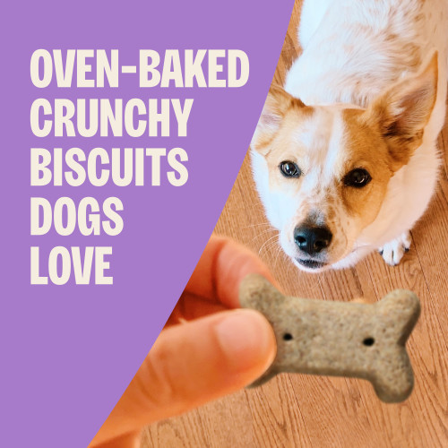 The benefits of Old Mother Hubbard Classic Savory Mix (Bac’N’Cheez, Liv’R’Crunch & P-Nuttier)