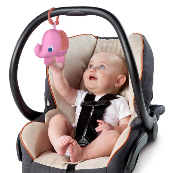 Fanciful Flowers™ Activity Gym
