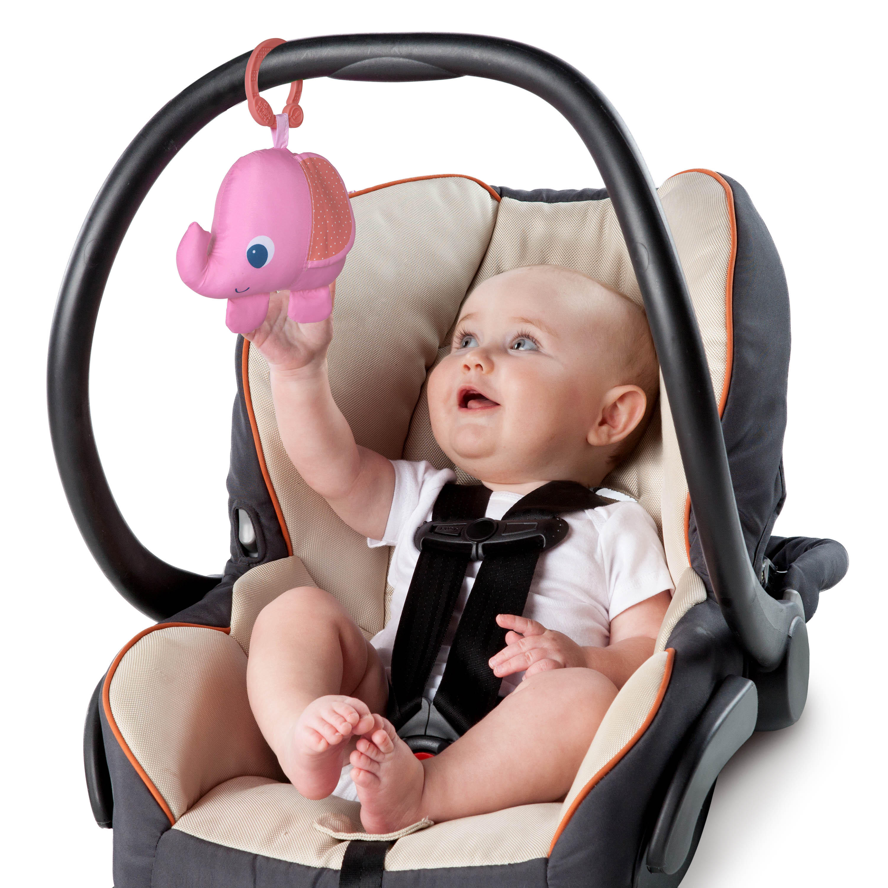 Fanciful Flowers™ Activity Gym
