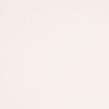 Off-white, subtly textured wall covering showing faint vertical weave; uniformly lit and featureless, serving as a neutral background in soft, diffuse light.