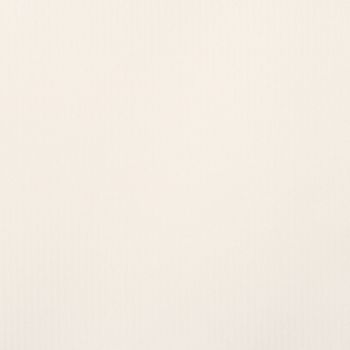 Cream-colored textured wall displaying faint vertical streaks, viewed close-up under soft, diffuse lighting, occupying a neutral, uncluttered interior background.