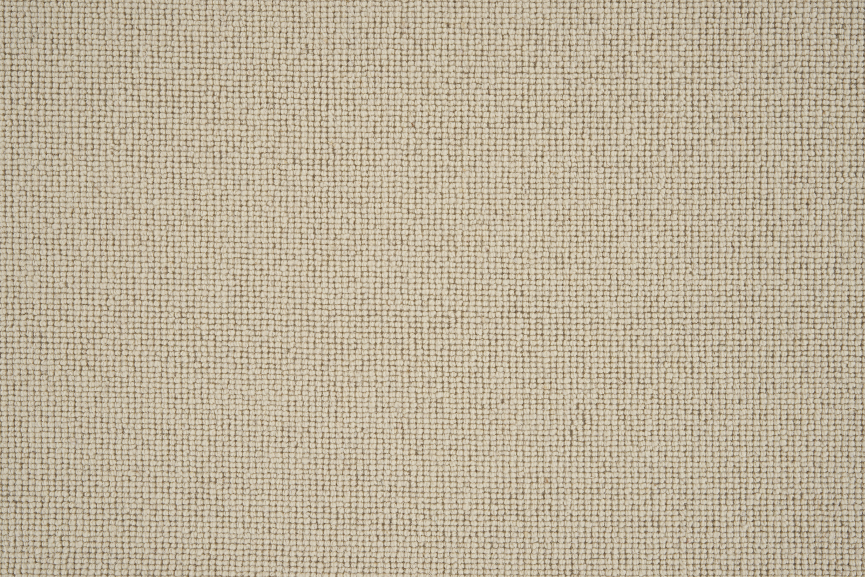 color-rug1